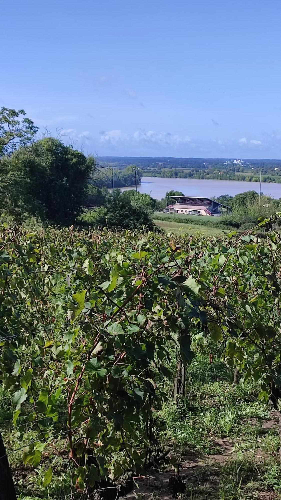 Maison Charmeilles - La Suite Pomerol Fronsac  Exterior foto